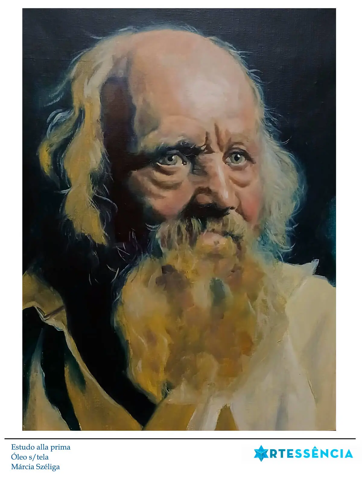 Galeria de Pinturas de Márcia Széliga