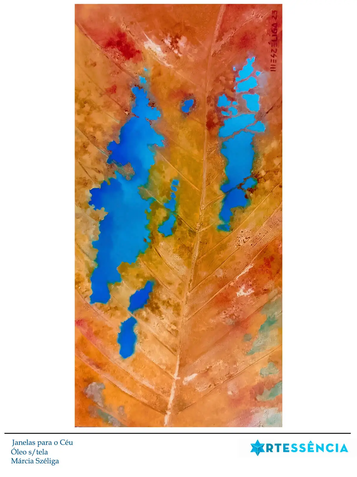 Galeria de Pinturas de Márcia Széliga